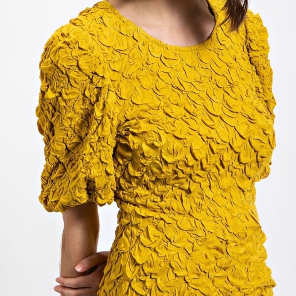 Puff sleeve top